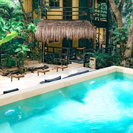 Terasu Riviera Maya Hotel & Spa, En Xcaret プレヤデルカーメン エクステリア 写真